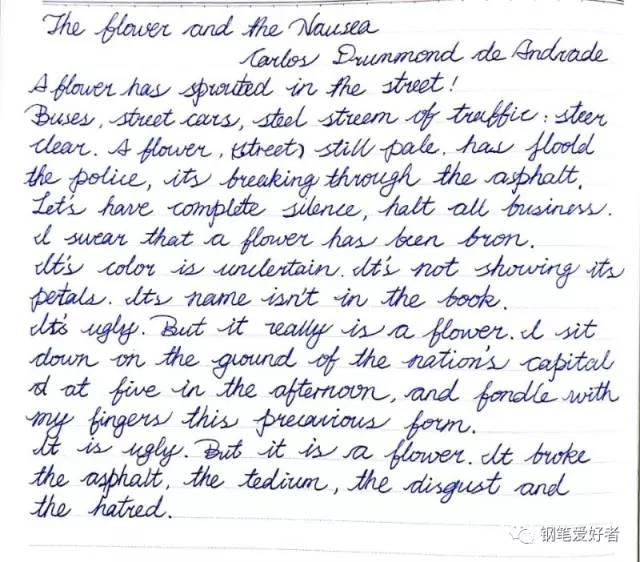 巴西英文小诗《小花与丑恶》手写钢笔字笔友钢