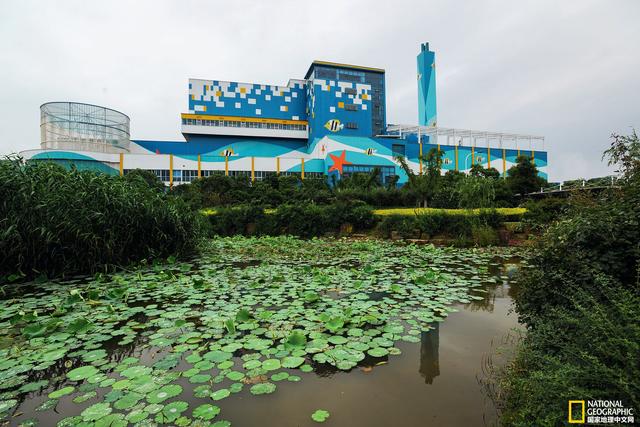 Rubbish burns the factory always shows its are friendly and transparent, strive alleviates and the contradiction between the public. To explain pair of environment cleanness are harmless, a rubbish that does not have stannum burns the factory is in designedly all round the environment that decorated green nature, still brush workshop into pure and fresh and clean color. Photography: Xiao Shibai