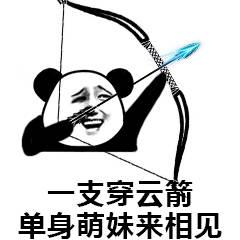 熊猫头搞笑单身:一支穿云箭,表情图大包表情包萌妹来相见1图片