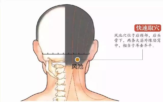 15个超级有效穴位