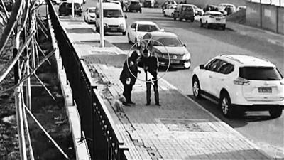 “碰瓷”又出新花样 专盯犬主下手