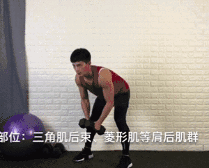 在傢健身,一對啞鈴20個動作搞定,助你練遍全身肌群,虐出好身材